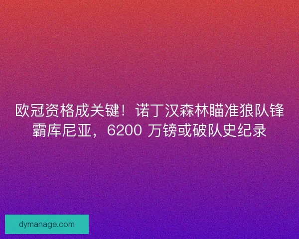 欧冠资格成关键！诺丁汉森林瞄准狼队锋霸库尼亚，6200 万镑或破队史纪录